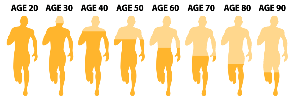 The decline of testosterone levels as you age